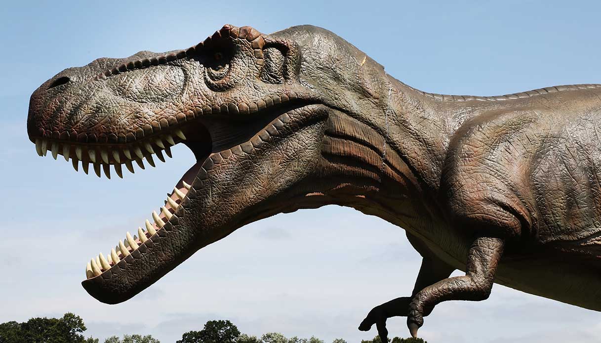 dinosaurs grovelands park