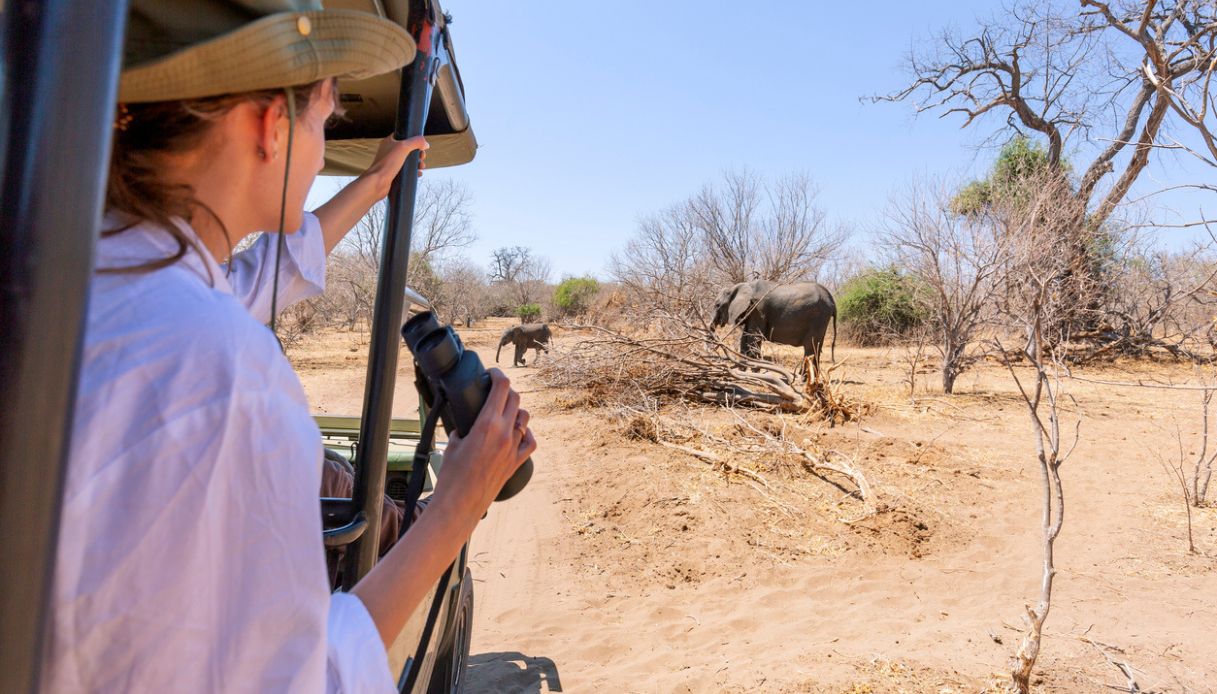 Donna che guarda un elefante durante un Safari in Sudafrica