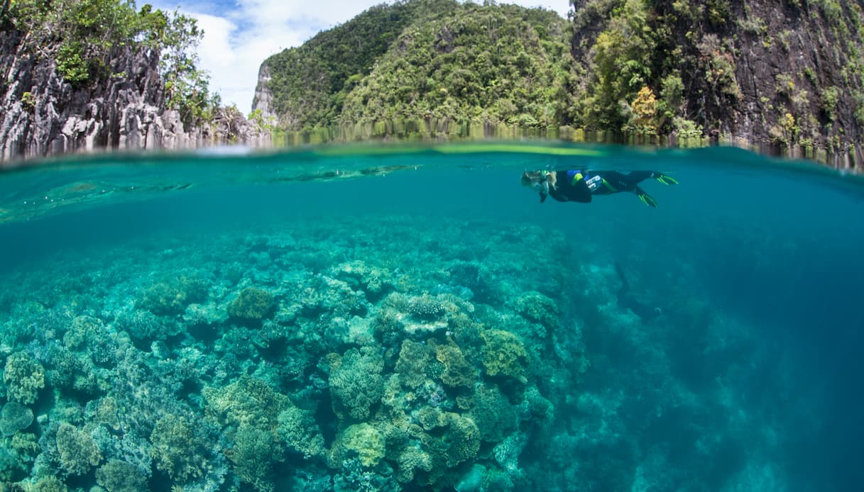 Snorkeling a Raja Ampat, Indonesia