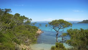 porquerolles-Thinkstock