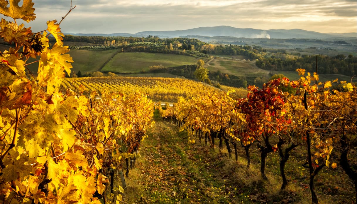 Vacanze settembre e ottobre: Italia il foliage nel Chianti