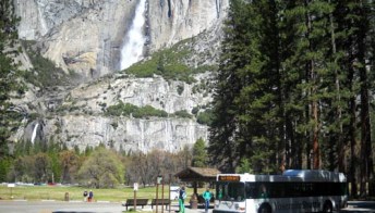 Cosa vede nel Parco nazionale di Yosemite negli Stati Uniti