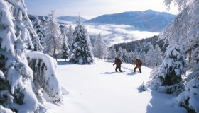 Le piste più belle dell’Austria