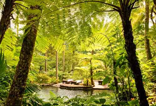 A Bali La Spa Piu Bella Del Mondo Piante Tropicali Yoga E Lusso Siviaggia