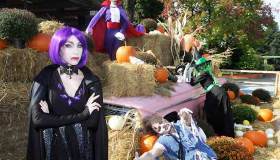 Halloween, cinque idee per una festa da brividi