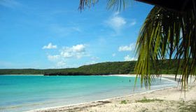 Vieques, tesoro nascosto dei Caraibi