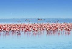 Nakuru