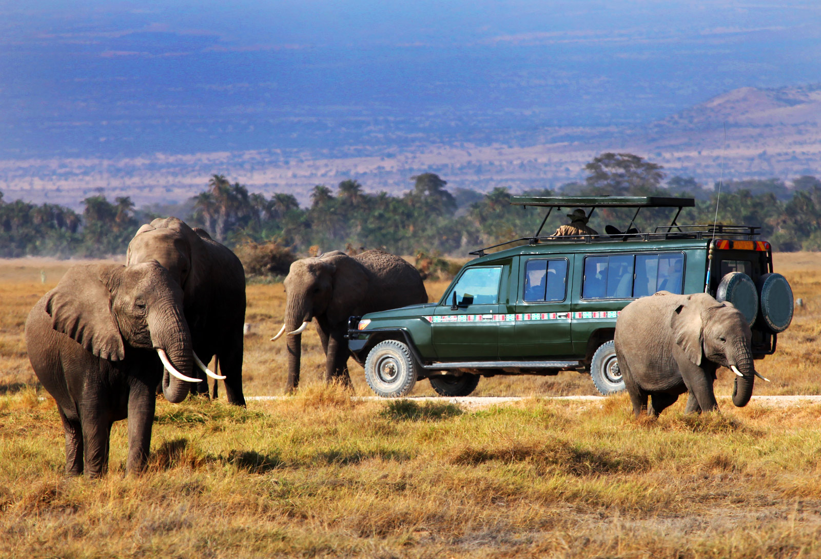 safari kenia e mare