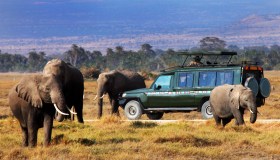 Kenya, tra mare e safari
