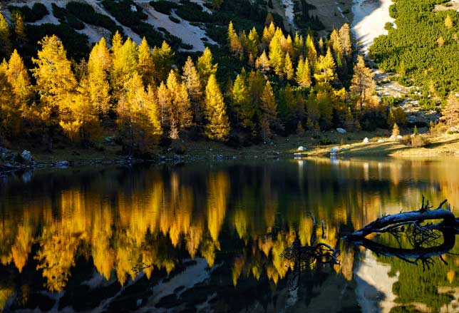 10 cose… in CARNIA