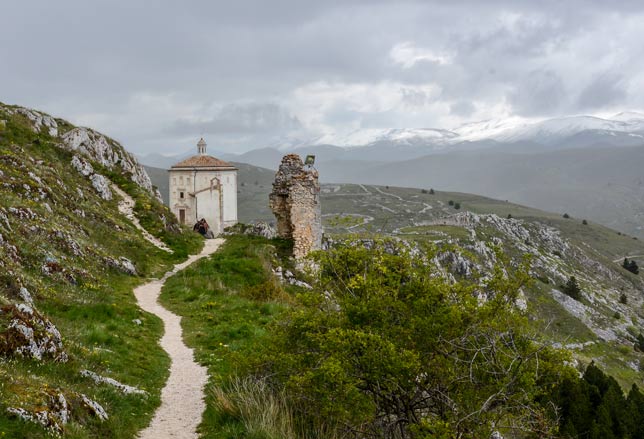 Stella alpina appeninica  Parco Nazionale del Gran Sasso e Monti della Laga