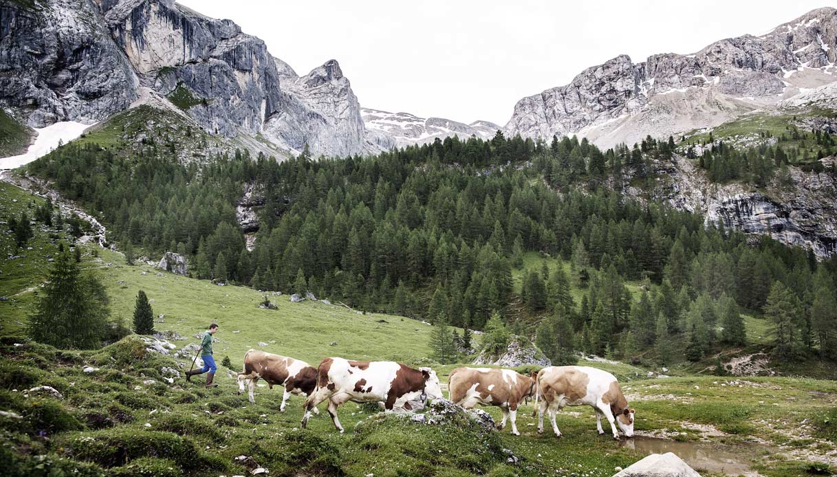 Agri-tour in Trentino
