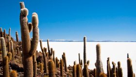 Un tour in Bolivia tra splendidi paesaggi