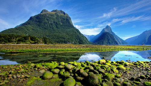Fiordland-National-Park_th_500