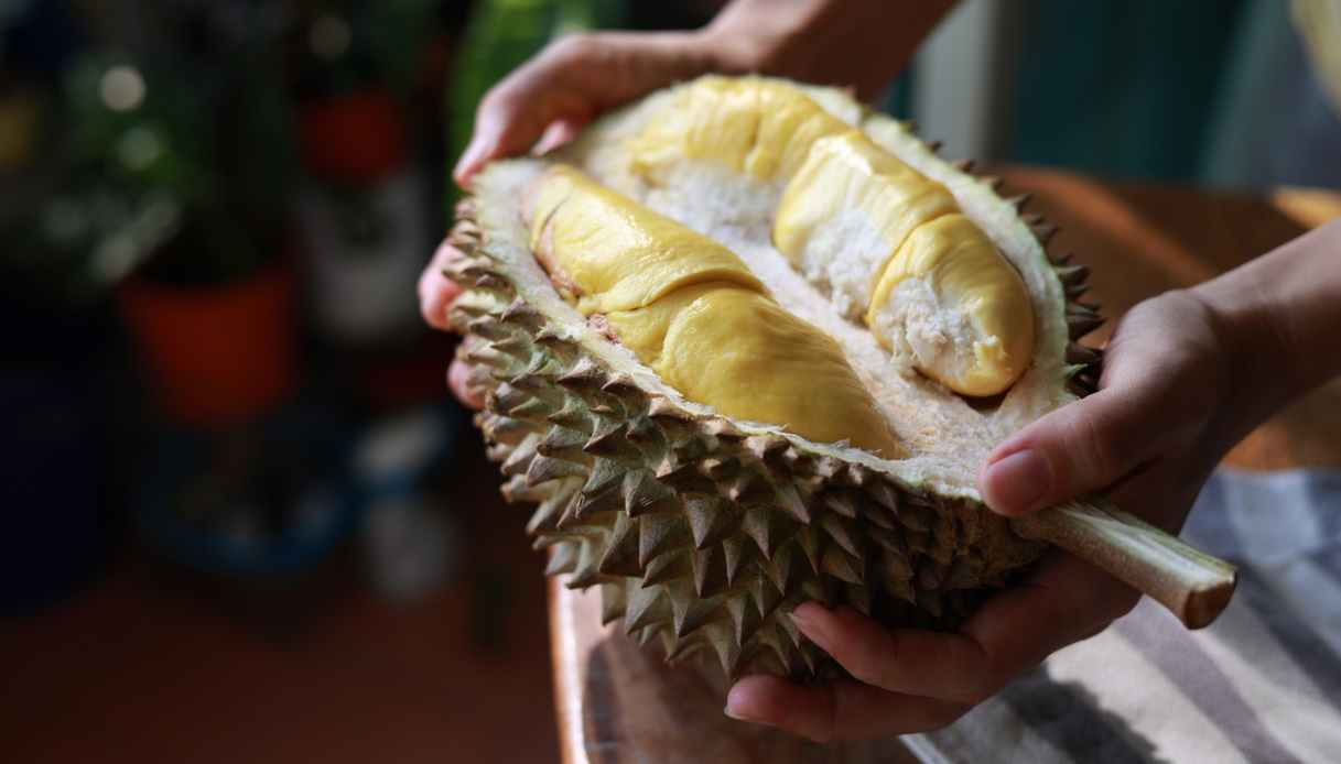 Frutto del Durian