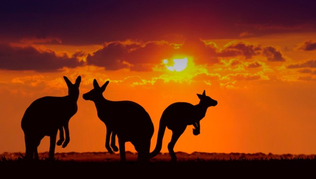 Le 5 cose che non sai sull'Australia