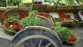 Cascina Cuccagna, la campagna in centro a Milano