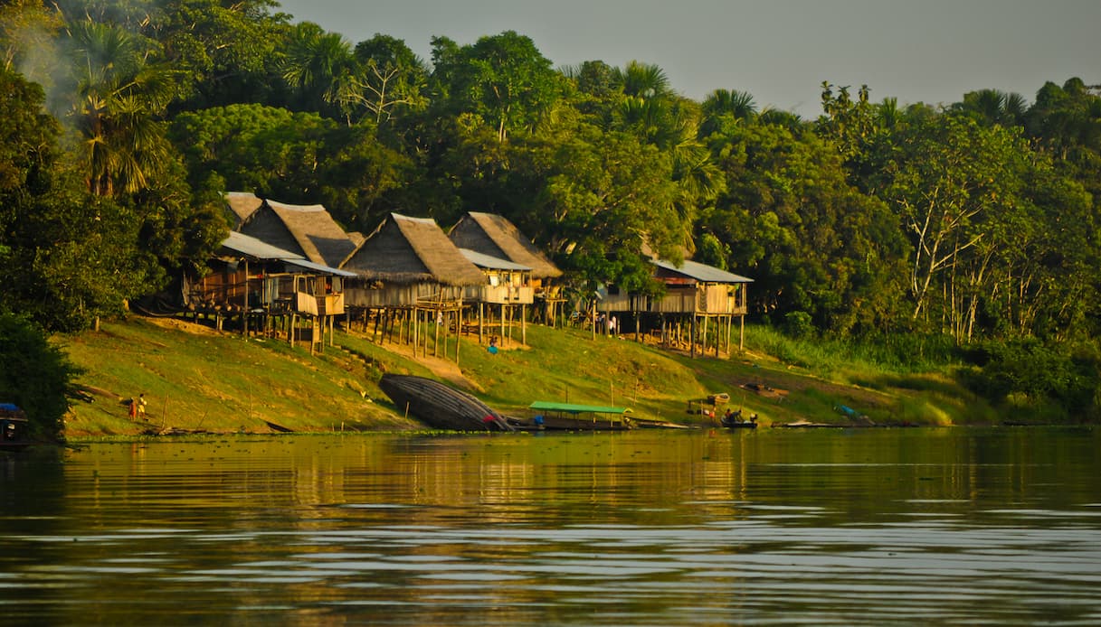 Giungla, Amazzonia