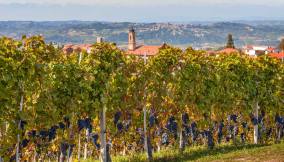 langhe_1217