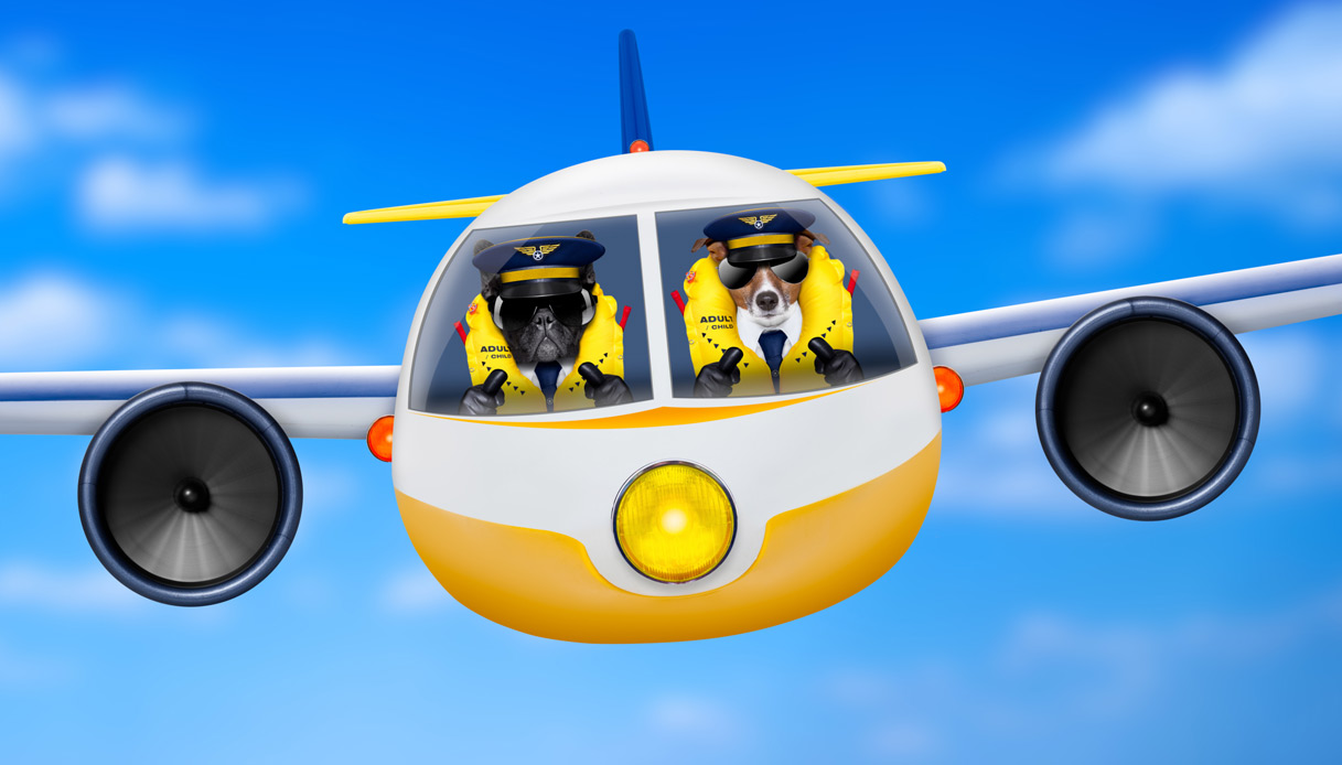 Quanto Guadagna Un Controllore Di Volo