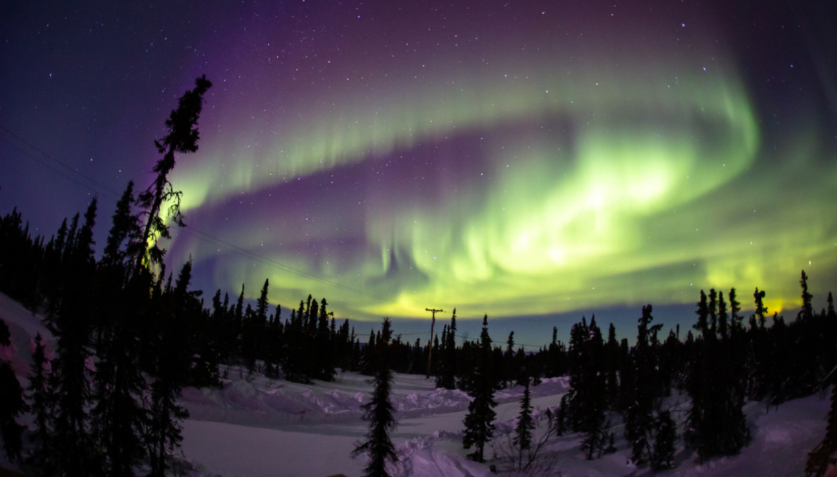 Aurora boreale Fairbanks Alaska