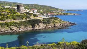 Asinara_1217