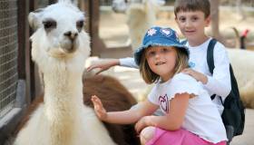 Una visita al Bioparco di Roma e poi un giro nei dintorni