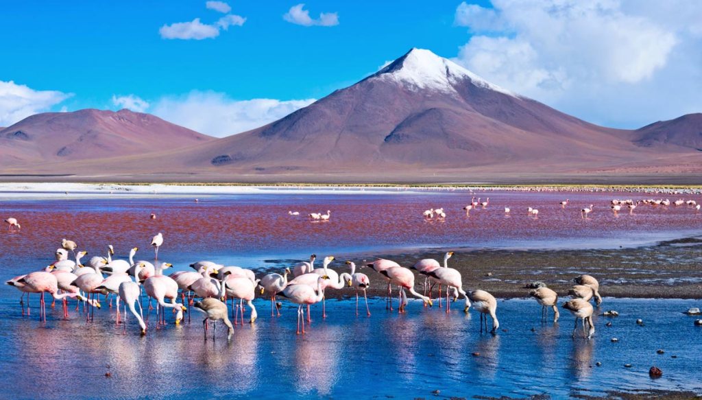Salar De Uyuni Viaggio Sul Lago Salato Piu Grande Del Mondo Siviaggia