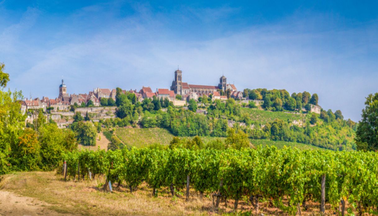 Vista del borgo di Vézelay, con vigneto in primo piano e borgo sulla collina sullo sfondo