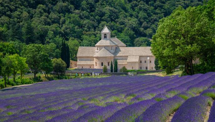 Abbazia Senanque Provenza