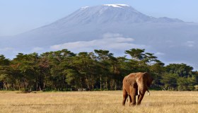 Nel cuore del Kenya per avvistare ogni sorta di animale selvatico