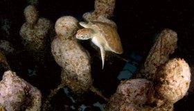 Il museo sottomarino di Cancun, in Messico