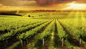 Weekend fuori porta nel cuore della Romagna