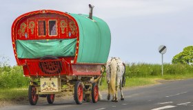 In Irlanda per dormire negli horse caravan, hotel trainati da cavalli