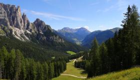 Il Sentiero della Foresta in Val di Fassa, vera meraviglia del Trentino