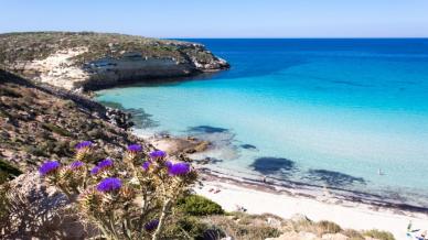 Le 5 spiagge più belle di Lampedusa, capolavori della natura