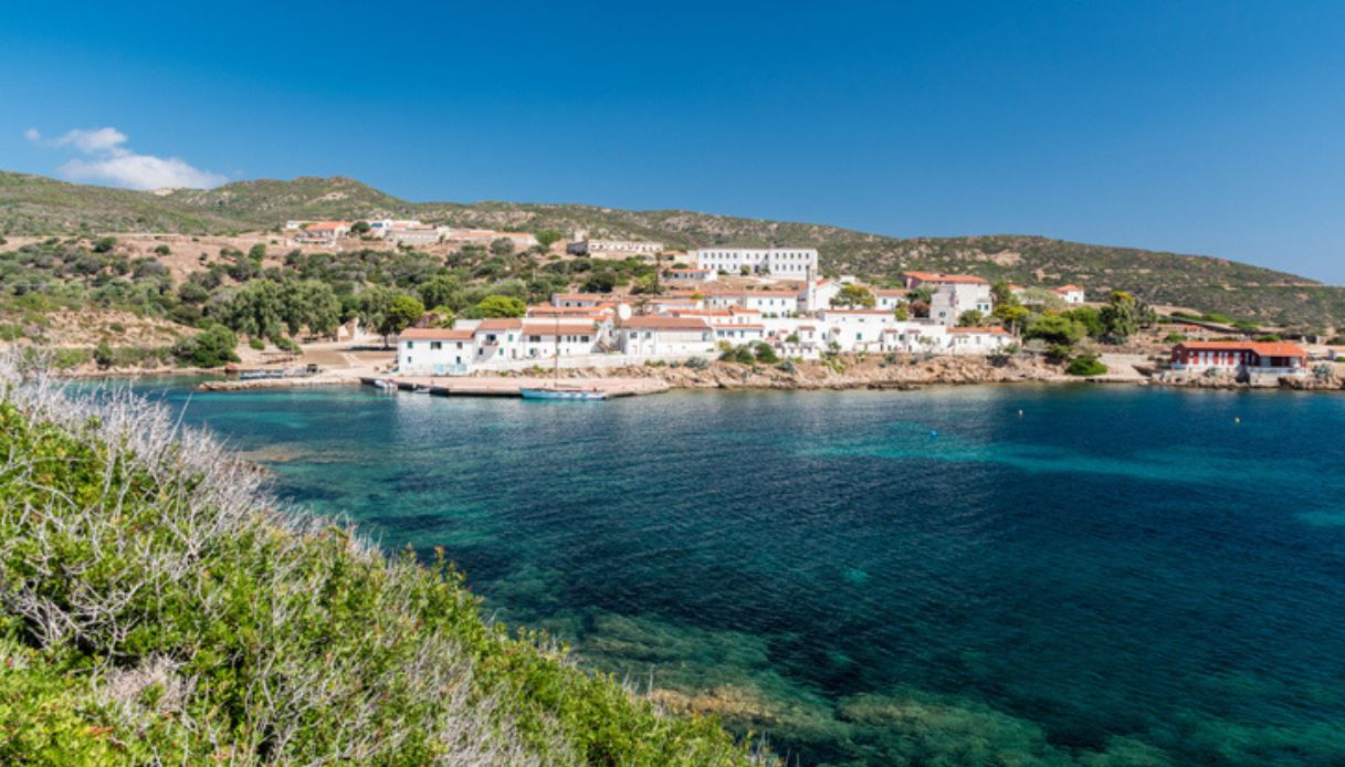 Vista di Cala d'Oliva, piccolo borgo dell'isola dell'Asinara, con case bianche sullo sfondo e mare turchese