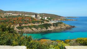 Come arrivare e cosa vedere sull’Isola dell’Asinara