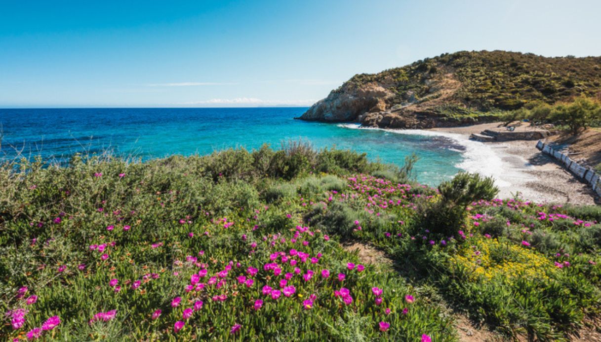 Paesaggio naturale dell'isola d'Elba, con mare color smeraldo e natura verde che caratterizza l'isola