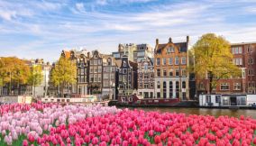 Tulipani ad Amsterdam