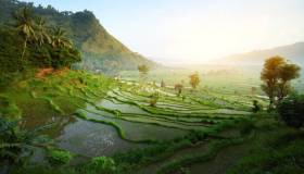 Cosa conviene comprare a Bali