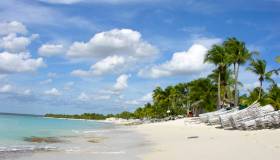 Cosa conviene comprare a Santo Domingo