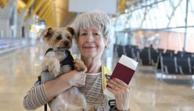 Volare e trasportare animali: regole e costi Lufthansa