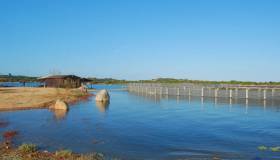 Spiagge per nudisti in Sardegna