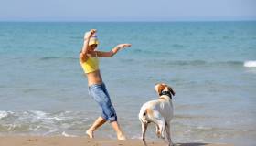 Spiagge per cani (dog friendly) a Olbia