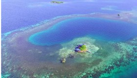 Bird Island, un’isola tropicale privata in affitto per poco più di 300 euro
