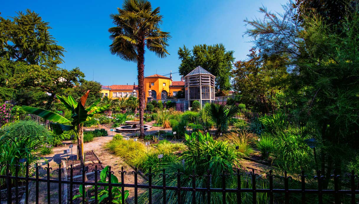 Ботанический сад в Падуе Италия