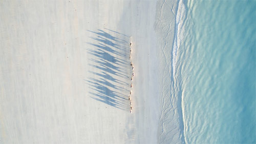 spiaggia-dronestagram-todd-kennedy_500