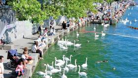 Zurigo per famiglie, una città dal fascino mediterraneo