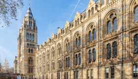 I musei di Londra da visitare: la top 10